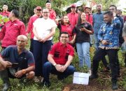 Peringati Bulan Bung Karno, Bane Raja Manalu Tanam Pohon di Tepi Sugai Batu Gaga Parapat