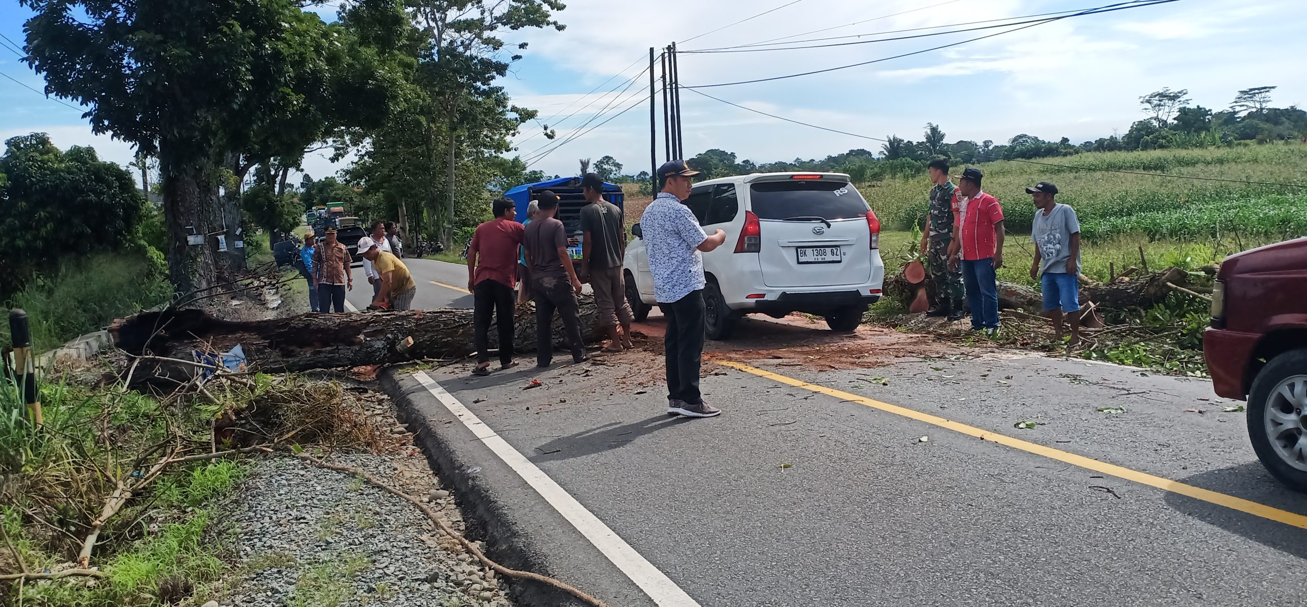 Forkopimcam Dolokpanribuan menebang pohon mahoni di Jalinsum Parapat wilayah Kecamatan Dolokpanribuan, Kabupaten Simalungun, Kamis (18/9/2025).
