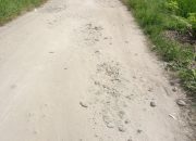Jalan Kampung Jati Dusun 2 Desa Sei Belutu Kecamatan Sei Bamban Serdang Bedagai Rusak