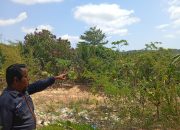 Sorotan Warga atas Informasi Aset Eks Lurah di Sijantung, Perlu Penelusuran dan Klarifikasi Lanjutan