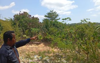 Sorotan Warga atas Informasi Aset Eks Lurah di Sijantung, Perlu Penelusuran dan Klarifikasi Lanjutan