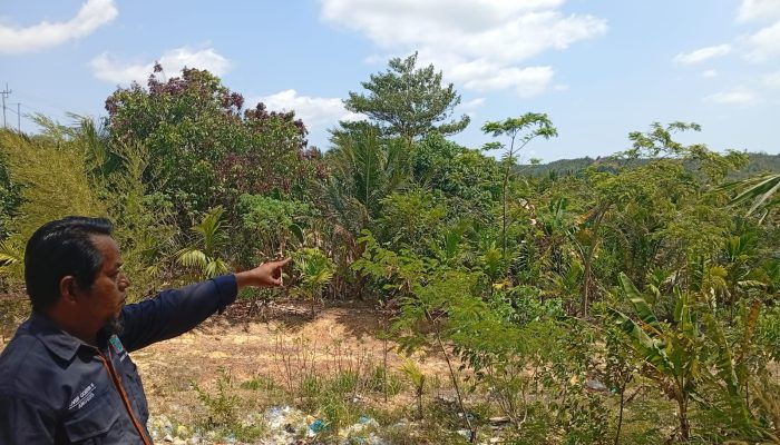 Sorotan Warga atas Informasi Aset Eks Lurah di Sijantung, Perlu Penelusuran dan Klarifikasi Lanjutan