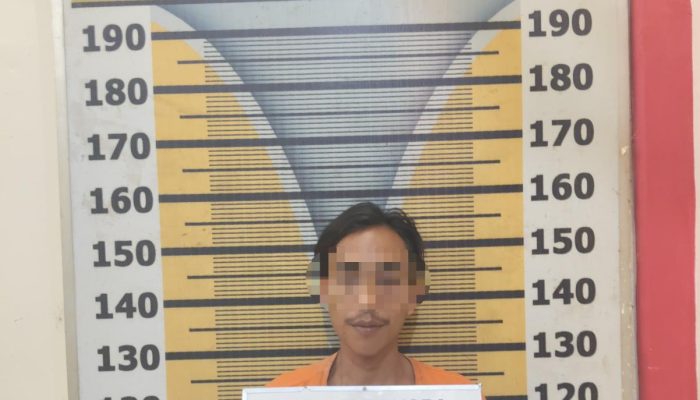 Polres Tebing Tinggi Ringkus Pengedar Sabu di Perkebunan Sawit, 4 Paket Sabu Disita