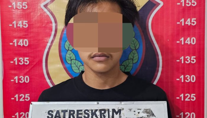 Sat Reskrim Polres Tebing Tinggi Tangkap Pelaku Pencurian Lembu