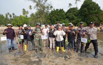 Aksi Hijau Berkelanjutan KEK Tanjung Sauh: PT Batamraya Sukses Perkasa Kembali Tanam 1.000 Bibit Mangrove