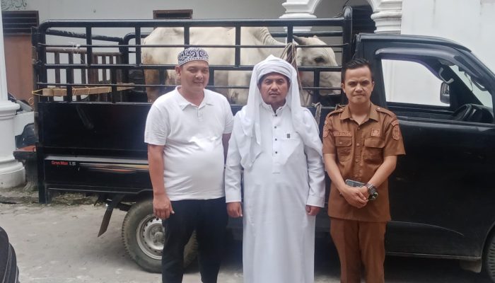 Tokoh Nasional, H Novri Ompusunggu Serahkan Hewan Kurban di Pondok Persulukan TGB