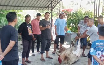 Raih Keberkahan di Momen Idul Adha 1447 H, Keluarga Besar SMKN 1 Siantar Potong 1 Ekor Sapi