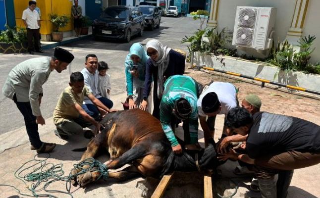 Penuh Kebersamaan dan Semangat Kepedulian Sosial, PLN UP3 Pematangsiantar Sembelih Hewan Kurban