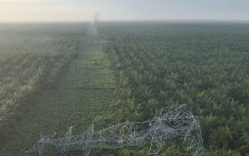 PLN Gerak Cepat Pulihkan Sistem Kelistrikan, 12 Tower Transmisi Rusak Akibat Cuaca Ekstrem di Sumatera Utara