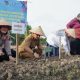 PERKUAT KETAHANAN PANGAN DAN TEKAN LAJU INFLASI, WALI KOTA TEBING TINGGI PIMPIN GERAKAN TANAM BAWANG MERAH DI KELURAHAN MEKAR SENTOSA