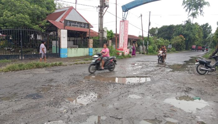 Jalan Besar Selambo Desa Amplas Percut Sei Tuan Deli Serdang Berlubang dan Ancam Keselamatan Pengendara